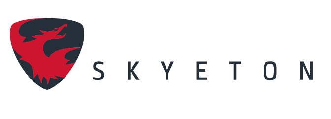 Skyeton logo